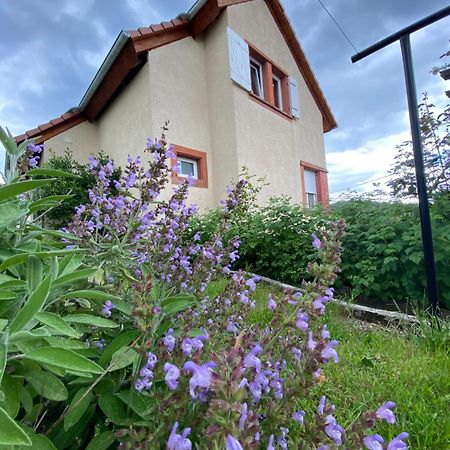Le Refuge De L'Ours Villa Baerenthal Bagian luar foto