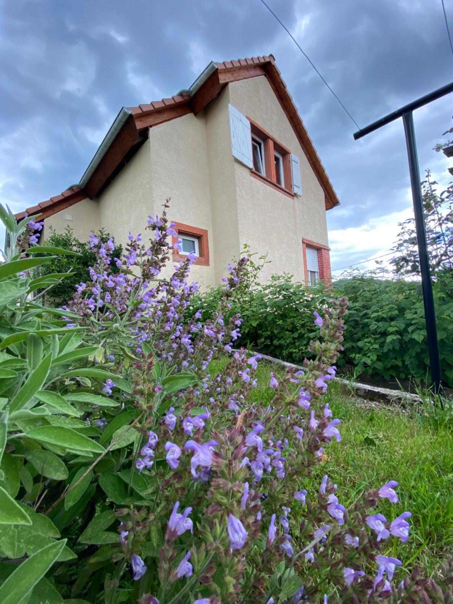 Le Refuge De L'Ours Villa Baerenthal Bagian luar foto