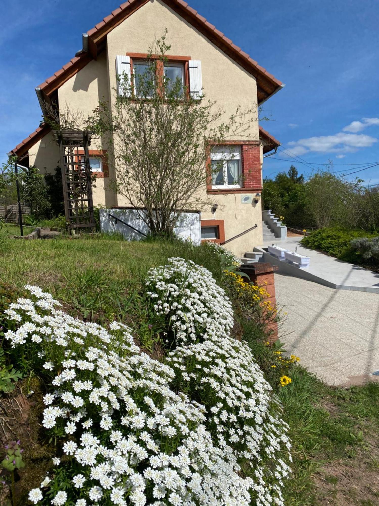 Le Refuge De L'Ours Villa Baerenthal Bagian luar foto